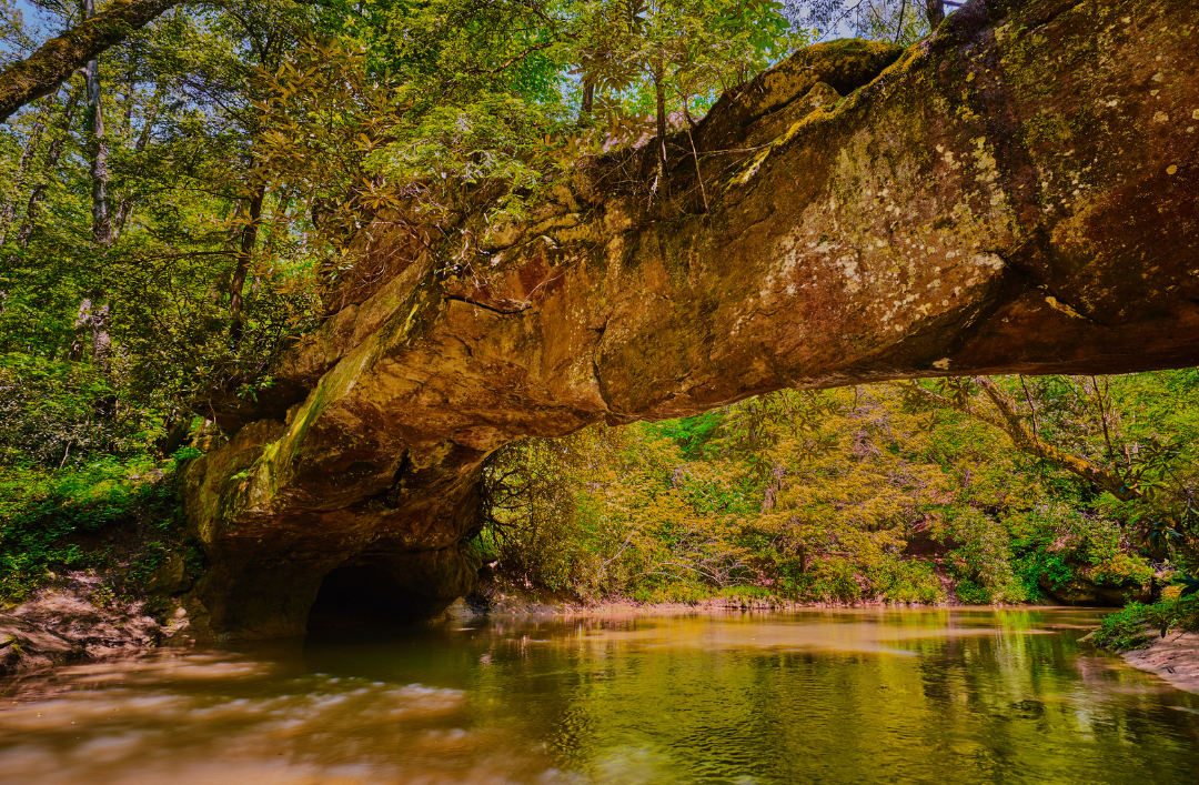 Red River Gorge Formation